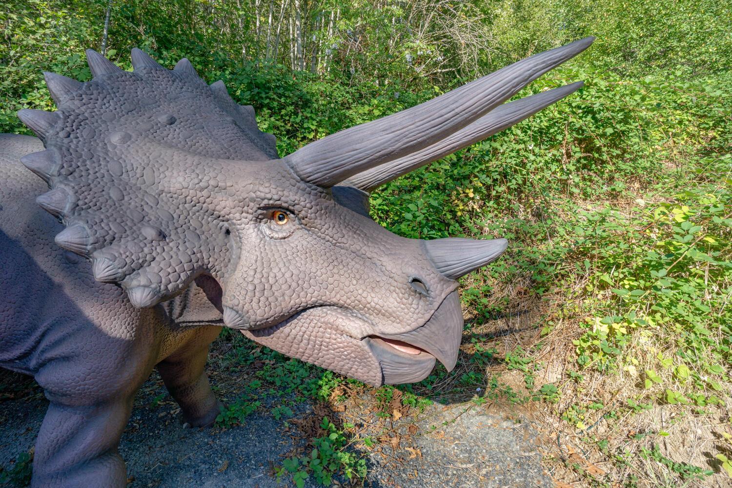 Jurassic Rebirth Out On Jul 2 - Book Your Stay Now (Adults Only) Washougal Extérieur photo