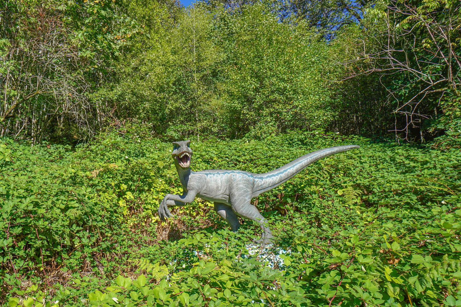 Jurassic Rebirth Out On Jul 2 - Book Your Stay Now (Adults Only) Washougal Extérieur photo