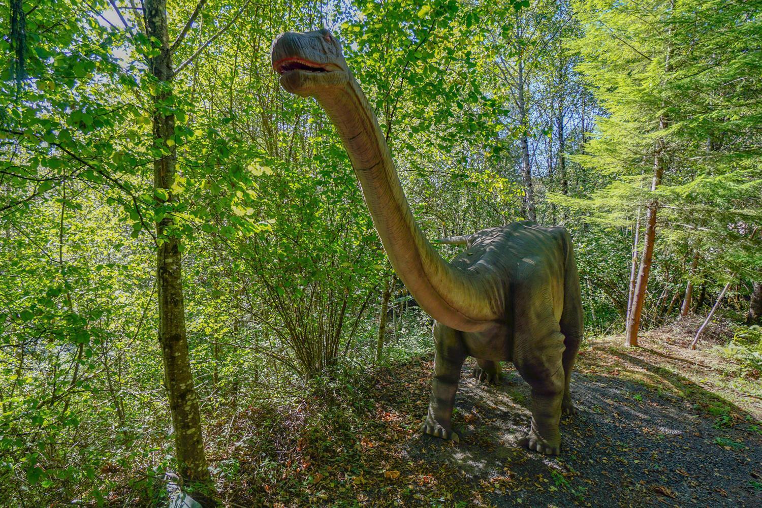 Jurassic Rebirth Out On Jul 2 - Book Your Stay Now (Adults Only) Washougal Extérieur photo